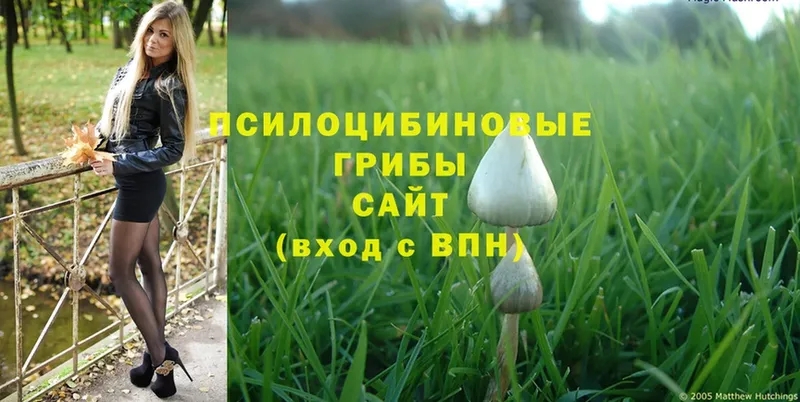 ОМГ ОМГ вход  Иркутск  Псилоцибиновые грибы Magic Shrooms 